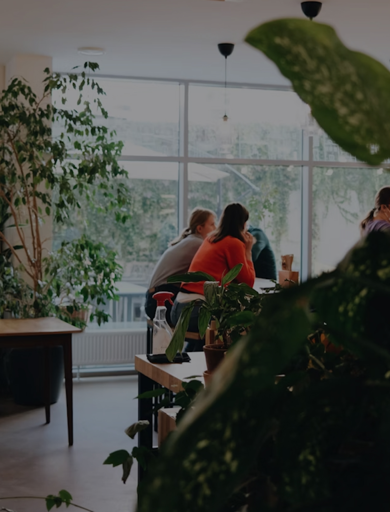 Climate resilience consulting - helping organizations adapt to climate change and environmental risks